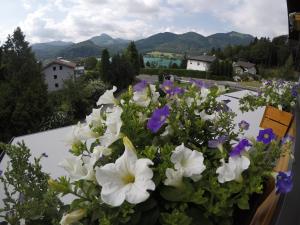Γενική θέα στο βουνό ή θέα στο βουνό από  αυτός ο ξενώνας