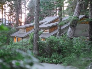 Long Beach Lodge Resort في توفينو: منزل في الغابة مع الأشجار