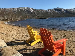 Naturlandskabet i nærheden af lejligheden