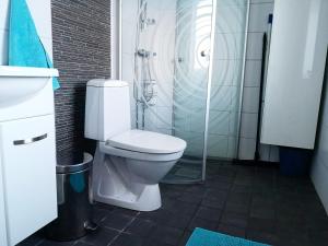 uma casa de banho com um WC e uma cabina de duche em vidro. em Skatauddens Lantgård em Älvsbyn