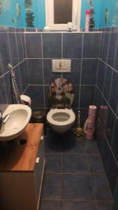 a blue tiled bathroom with a toilet and a sink at maison la croix chambre chez l ' habitant in Marsac