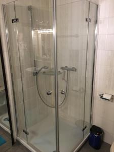 a shower with a glass door in a bathroom at Ferienwohnung Tulpenweg mit Kaminofen in Haiger