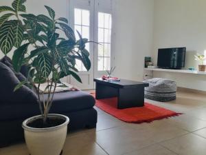 a living room with a couch and a potted plant at Ciel de Kaz in Rivière-Salée