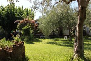 einen Garten mit einem Baum, einem Tisch und Stühlen in der Unterkunft La Casa Dell'antiquario in Graniti