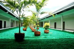 a row of potted palm trees in a courtyard at Cindy Kelly Hotel in Olongapo