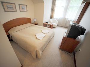 ein Schlafzimmer mit einem Bett und einem Flachbildfernseher in der Unterkunft Deims Hotel in Šilutė