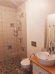 a bathroom with a toilet and a sink and a shower at Malūno Vilos apartamentai in Palanga
