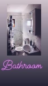 La salle de bains est pourvue d'une échelle, de toilettes et d'un lavabo. dans l'établissement JULIA&STEFAN, à Sănduleşti