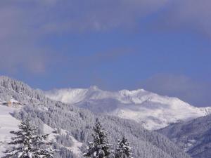 Haus Dejakom Mayrhofen v zime