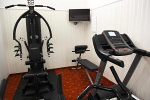 Palestra o centro fitness di Pension Dvořák