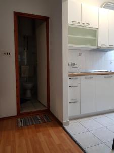 Kuchyň nebo kuchyňský kout v ubytování Accommodation Drasko