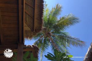 Foto sihtkohas Gili Trawangan asuva majutusasutuse Sadev Resort galeriist
