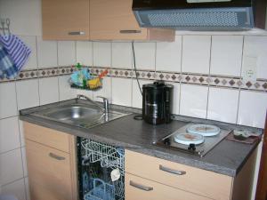 Η κουζίνα ή μικρή κουζίνα στο Ferienwohnung Heidelsteinblick