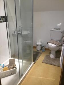 Highcroft House في كورشام: حمام مع دش ومرحاض +56 صورة