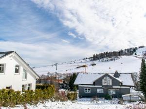 ヴィリンゲンにある2 separate flats with balcony on the ski slopeの雪家