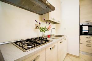 a kitchen with a stove and a sink at InnPisaRentals2 - Airstation Central Flat in Pisa