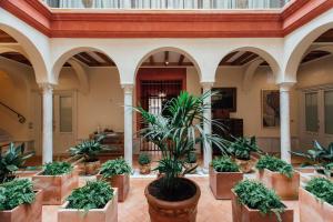 a room with a bunch of potted plants at Casa Patio del Siglo XIX in Seville