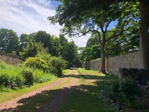 A garden outside Luffness Castle Cottage