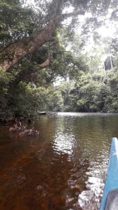 Gallery image of Canopy Inn in Jerantut