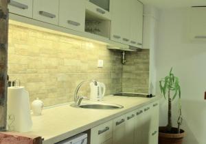 Kuchyň nebo kuchyňský kout v ubytování Apartment Queen