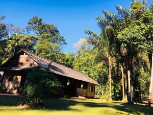 Gallery image of ATTA Rainforest Lodge in Surumatra