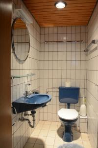 a bathroom with a blue toilet and a sink at Haus Krick in Alpirsbach