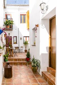 a courtyard in a house with potted plants at Casa Po in Granada