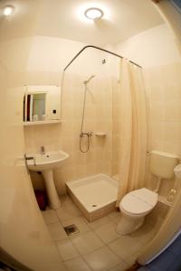 La salle de bains est pourvue de toilettes, d'un lavabo et d'une douche. dans l'établissement Hotel Bara Junior, à Budapest