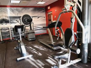 a gym with cardio equipment and a painting on the wall at Ramada by Wyndham Suites Orlando Airport in Orlando