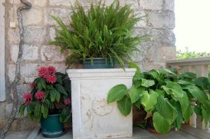two potted plants in buckets next to a stone wall at Villa Violić in Zaton