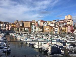 Banda łodzi zakotwiczona w przystani z budynkami w obiekcie APARTAMENTOs URDAIBAI 2 w mieście Bermeo