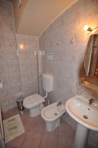 a bathroom with a toilet and a sink at Villa Forum in Ohrid
