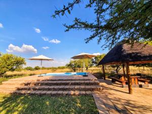 a group of steps with umbrellas and a swimming pool at OuKlip Game Lodge in Klipdrift