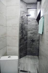 a bathroom with a shower with a toilet and a sink at Nano Apartment in Prizren