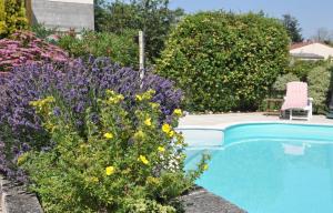 um jardim com flores roxas e uma piscina em Domaine La Fontaine B&B em Soubran