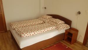 een slaapkamer met een bed met 2 kussens erop bij Orchidea II in Hévíz