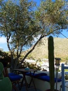 a patio with a cactus and a table and chairs at Barbarossa Suites in Emporio Santorini