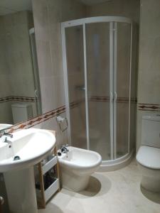 La salle de bains est pourvue d'une douche, d'un lavabo et de toilettes. dans l'établissement Apartamentos Edificio Aguilas, à Aínsa