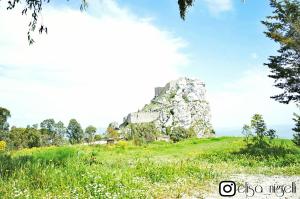 a large rock on a grassy hill with flowers at Viola Bed and Breakfast in Mussomeli