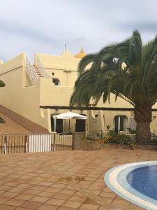 a house with a palm tree and a swimming pool at 60 El Sultan, 20 Pedroy Guy Vandaele in Corralejo