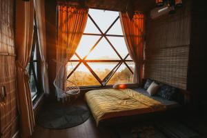 Giường trong phòng chung tại Sea Urchin Homestay