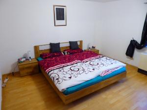 a bedroom with a large bed with red pillows at Ferienwohnung zum Pinguin in Wiednitz