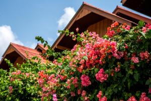 Zama Resort Koh Phangan外面的花园