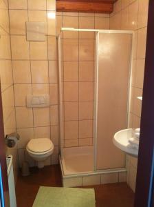 a bathroom with a shower and a toilet and a sink at Gasthof Pension Steinberger in Sankt Georgen im Attergau