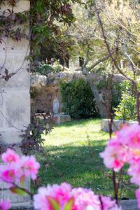 einen Garten mit rosa Blumen im Gras in der Unterkunft Centro di Spiritualità Madonna della Nova in Ostuni
