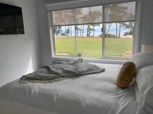 En eller flere senger på et rom på Secret Spot - Bruny Island