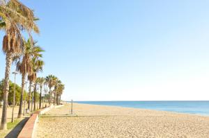 ピネダ・デ・マールにあるHomeHoidaysRentals Milletのヤシの木と海のビーチ
