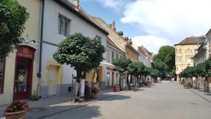 Lima Hostel Győr في جيور: شارع فاضي في مدينه فيها مباني