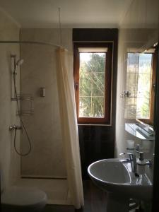Koupelna v ubytování Hotel Galushko