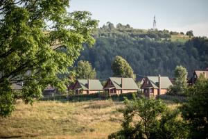 Príroda v okolí horskej chaty